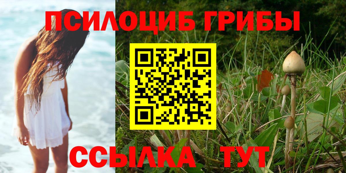 Ржев  Галлюциногенные грибы Psilocybine cubensis  даркнет сайт  Галлюциногенные грибы GOLDEN TEACHER  Вход с VPN 