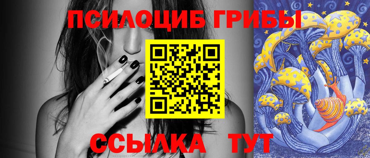 Галлюциногенные грибы прущие грибы Ржев